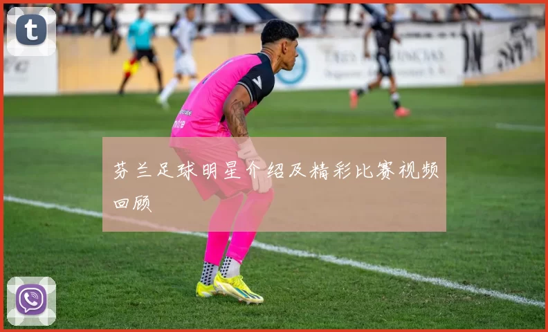 芬兰足球明星介绍及精彩比赛视频回顾