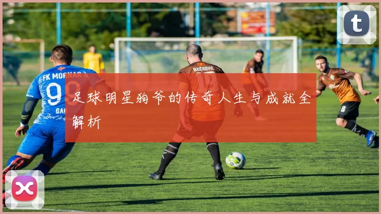 足球明星狗爷的传奇人生与成就全解析
